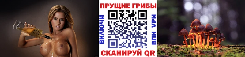 Галлюциногенные грибы прущие грибы  купить   Богучар 